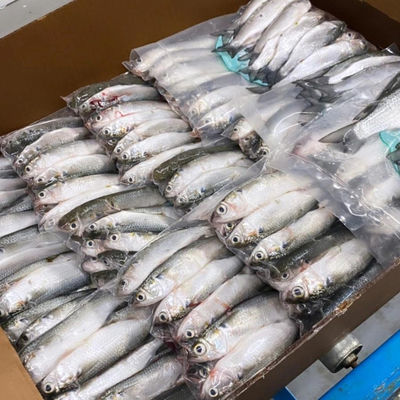 Specjalnie zaprojektowana bariera plastikowa termozmniejszająca się folia pieczęć cieplna do opakowań żywnościowych 50-150um